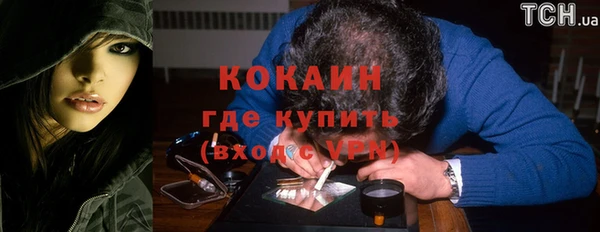 стафф Бородино