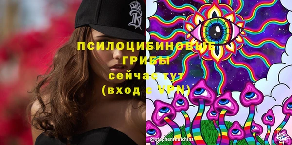 сатива Богданович
