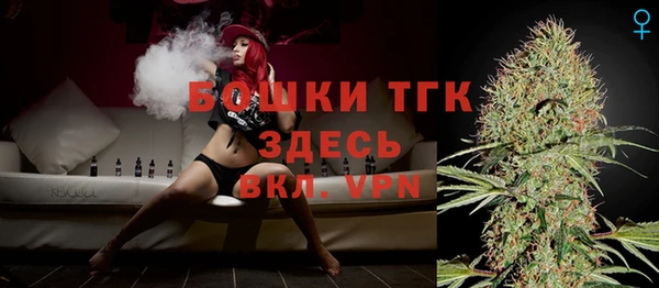 стафф Бородино