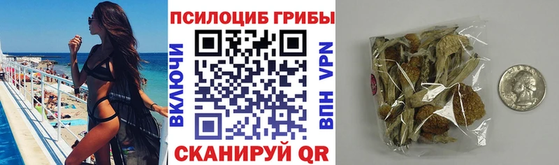 Купить  Конаково  Псилоцибиновые грибы прущие грибы 